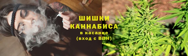 твердый Пересвет