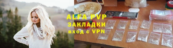 твердый Пересвет